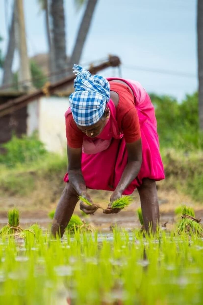 AGRICULTURA COMO EXEMPLO DE EMACIPAÇÃO DA MULHER