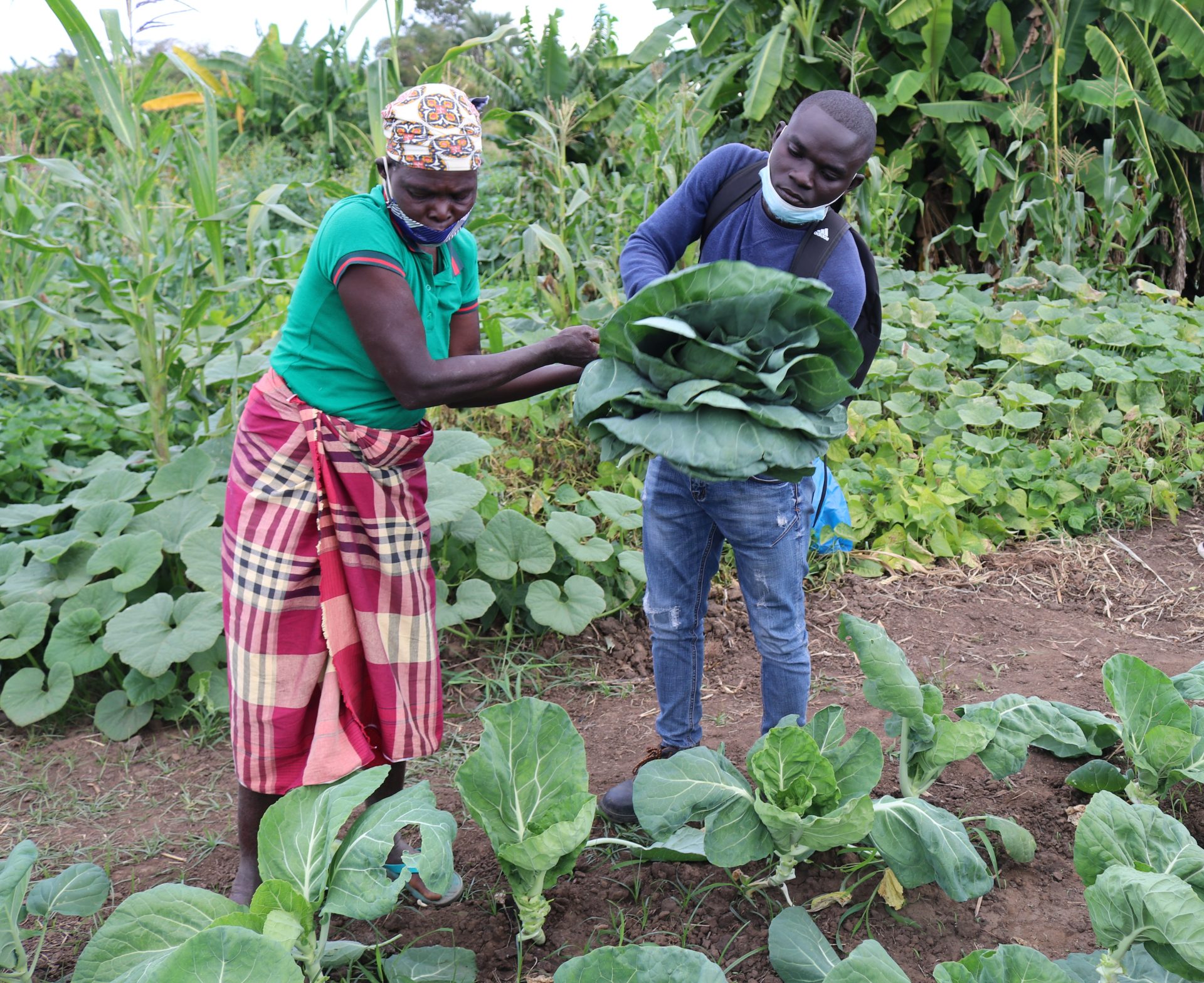 Formação em Agroecologia à Associações de Camponeses