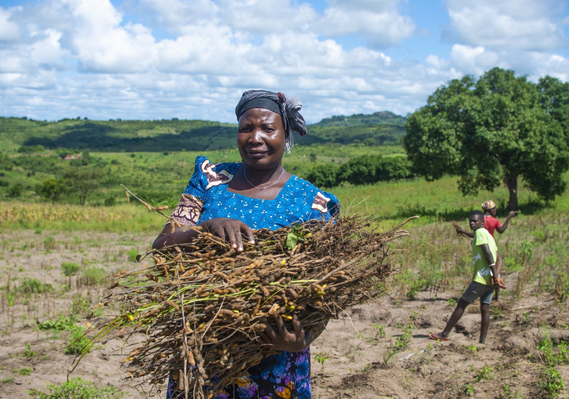 Ajuda de Emergência em sementes para apoio a segunda campanha agrícola das associações  de camponeses da União das Cooperativas Agrícolas de Marracuene