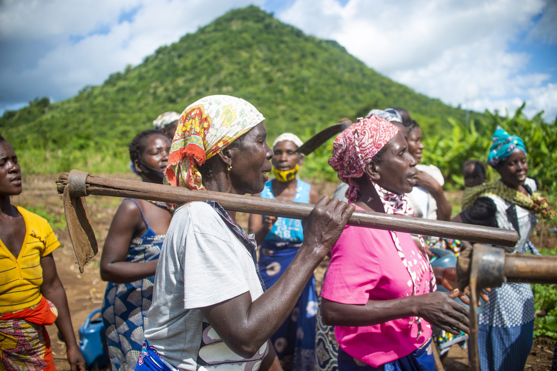 Fortalecimento das capacidades de resiliência e organizativas de famílias camponesas vítimas de ciclone IDAI