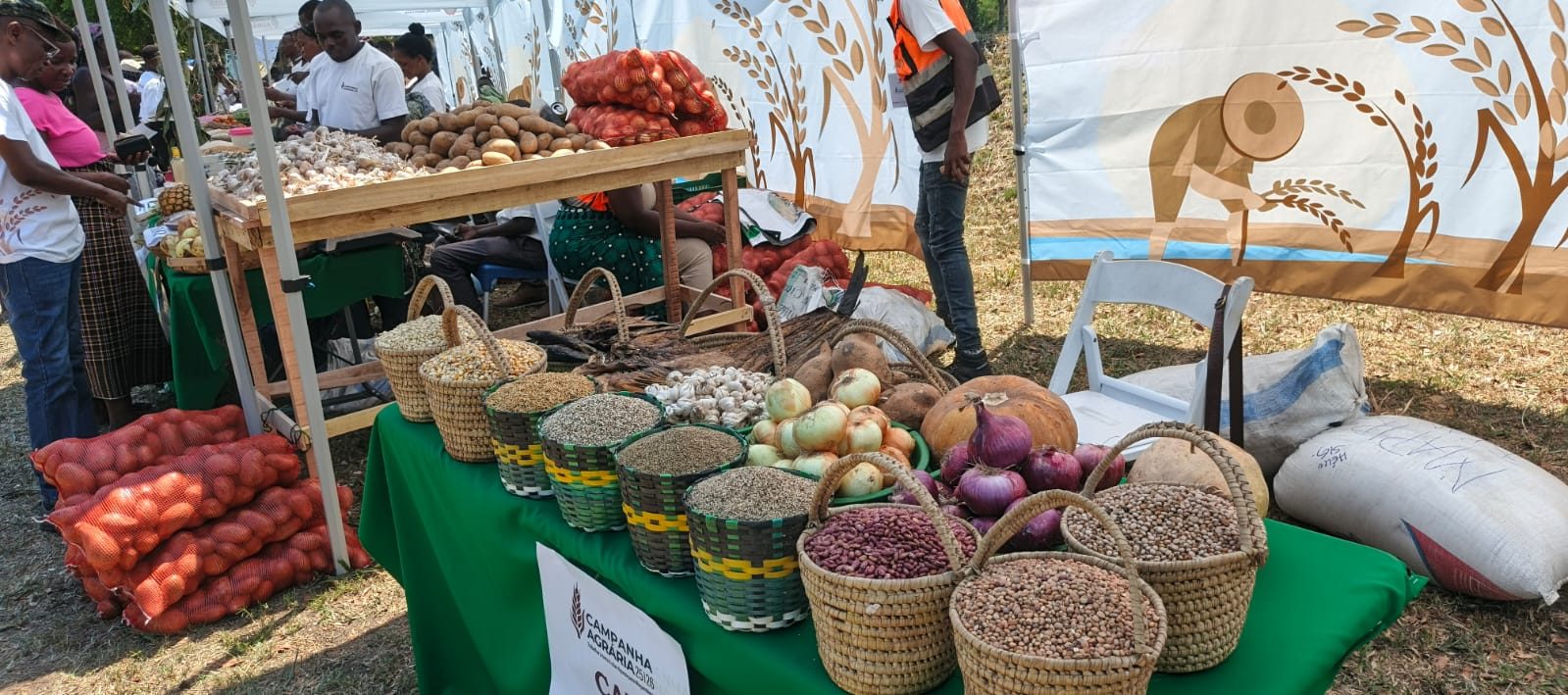 UNAC PARTICIPA DO LANÇAMENTO DA CAMPANHA AGRÁRIA 2025/26