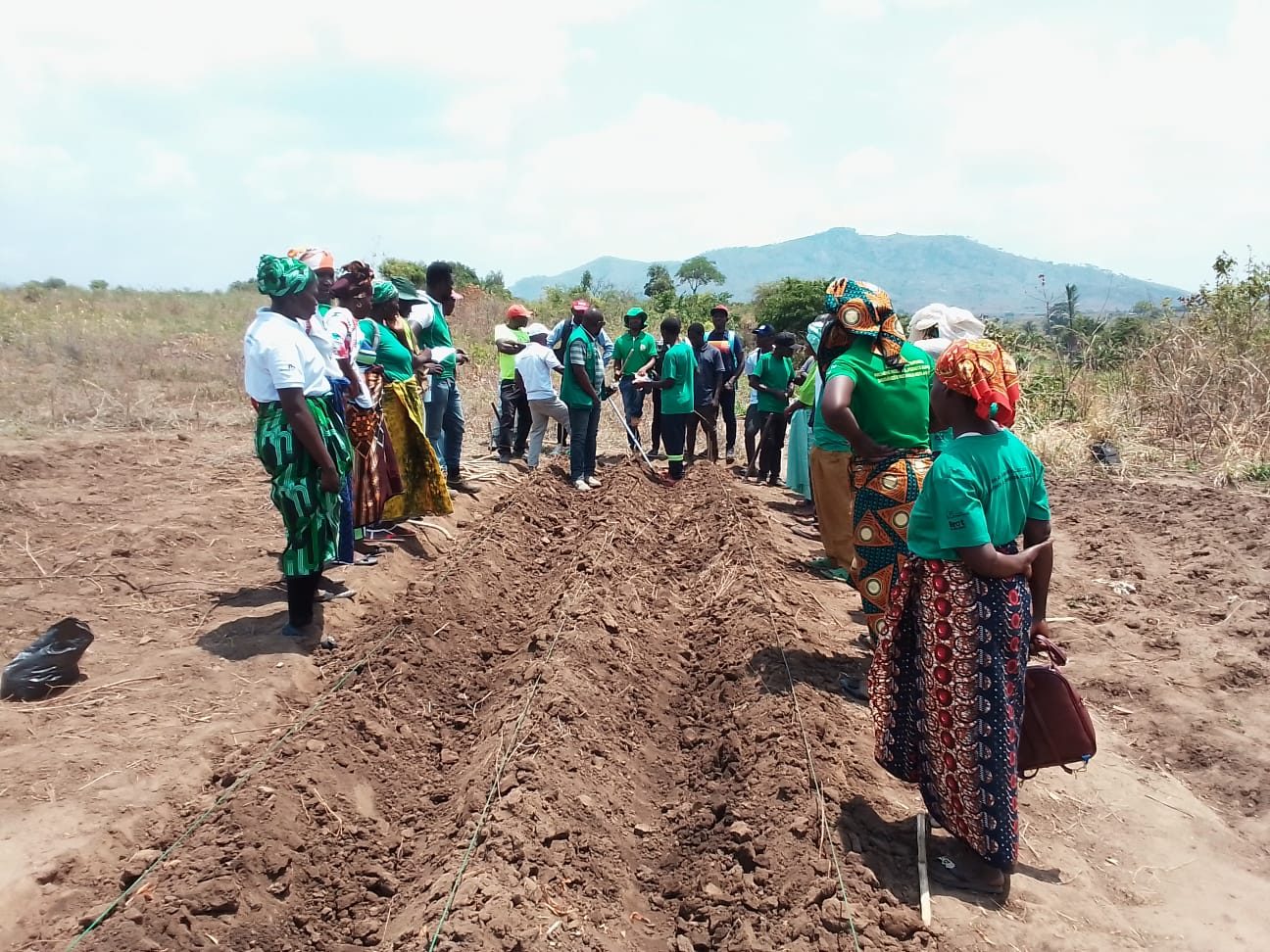 CAMPONESES TROCAM EXPERIÊNCIAS SOBRE PURIFICAÇÃO DE SEMENTES NATIVAS
