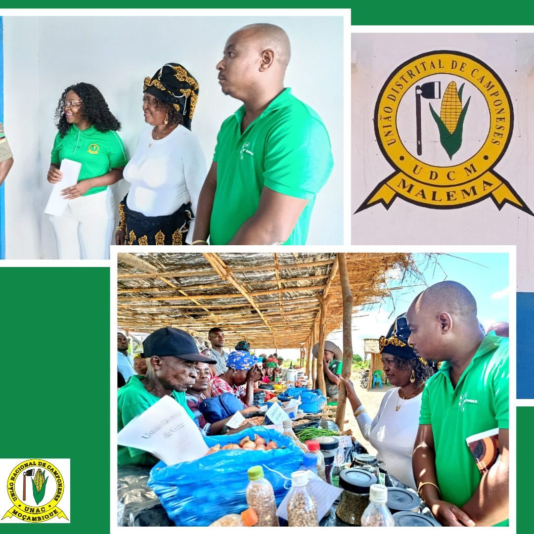 INAUGURAÇÃO DO BANCO DE SEMENTES LOCAIS E ESCRITÓRIO DE MALEMA